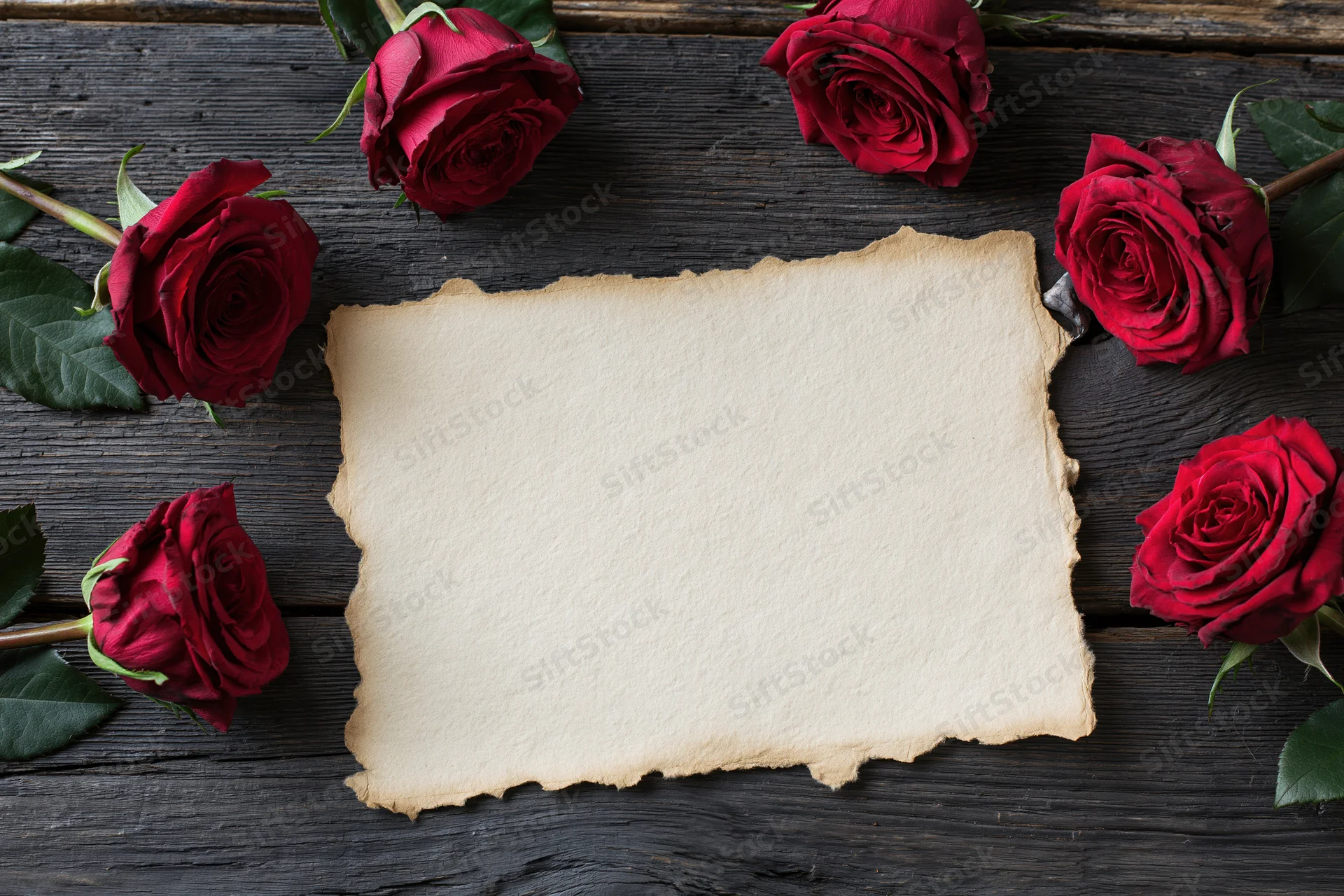 Aged parchment card with torn edges surrounded by red roses on dark wooden surface