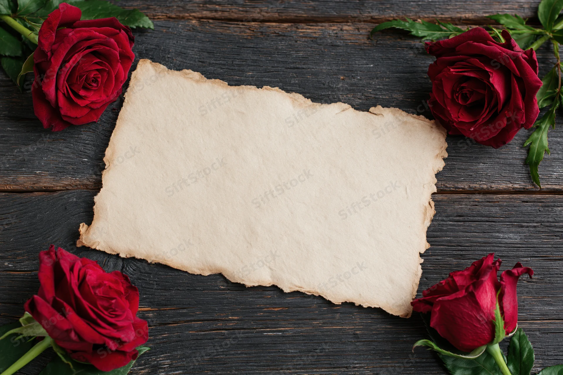 Aged parchment card with torn edges on dark wooden surface surrounded by red roses