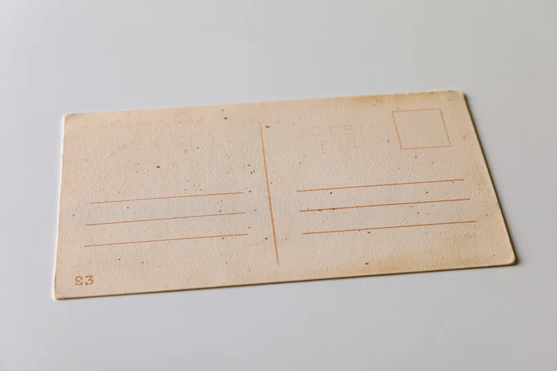 Vintage blank postcard back side lying flat on white surface with address lines and stamp box