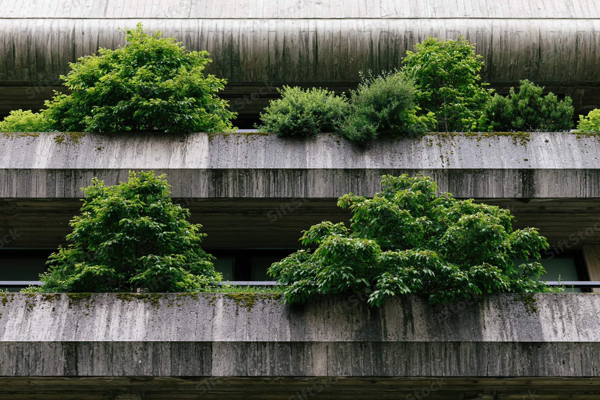 Brutalist concrete apartment building facade with lush greenery growing on balconies and ledges