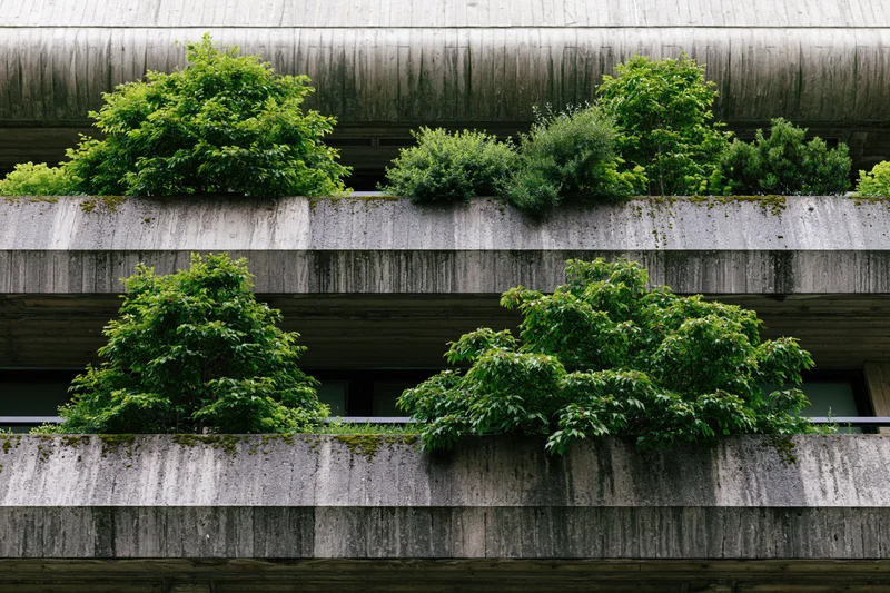 Brutalist concrete apartment building facade with lush greenery growing on balconies and ledges