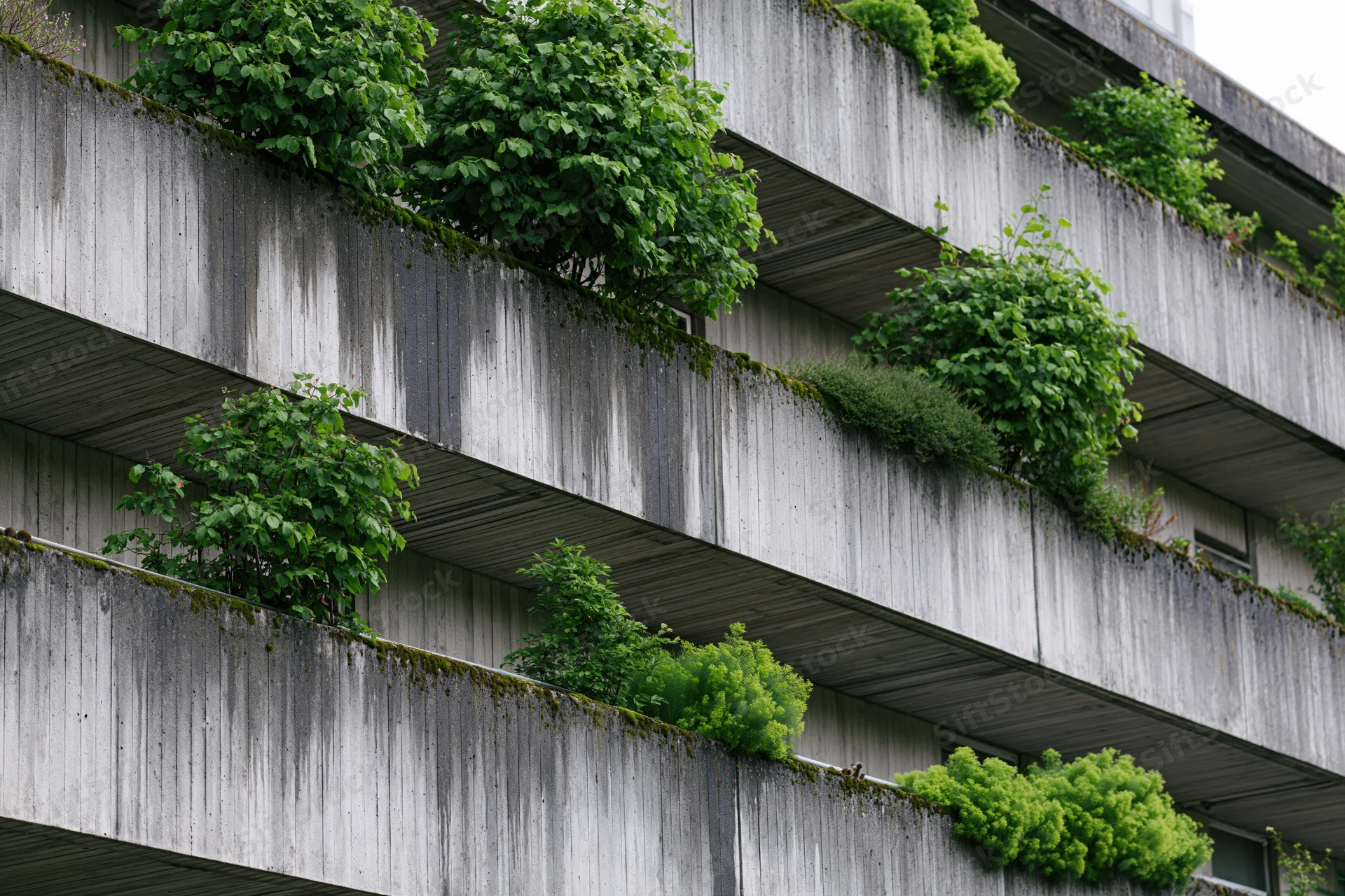 Brutalist concrete apartment building facade with lush greenery growing on balconies