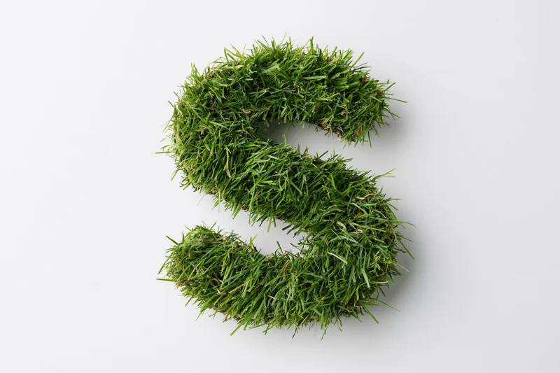 Grass shaped into capital letter s on white background
