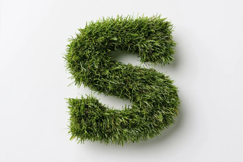Capital letter s formed from dense green grass on white background
