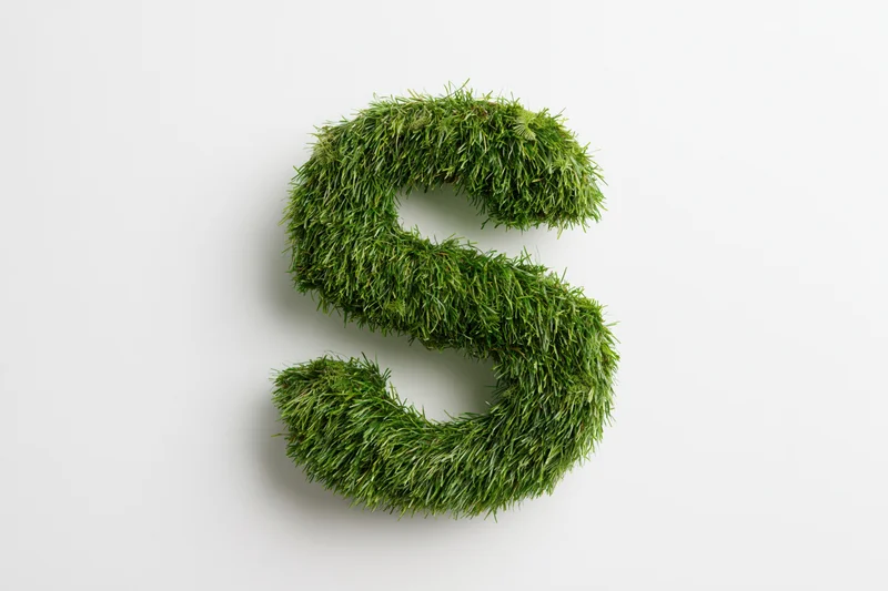 Capital letter s formed from dense green grass on white background