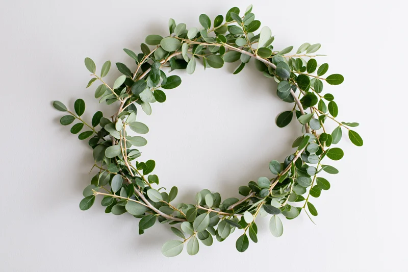 Circular green leaf wreath on white background