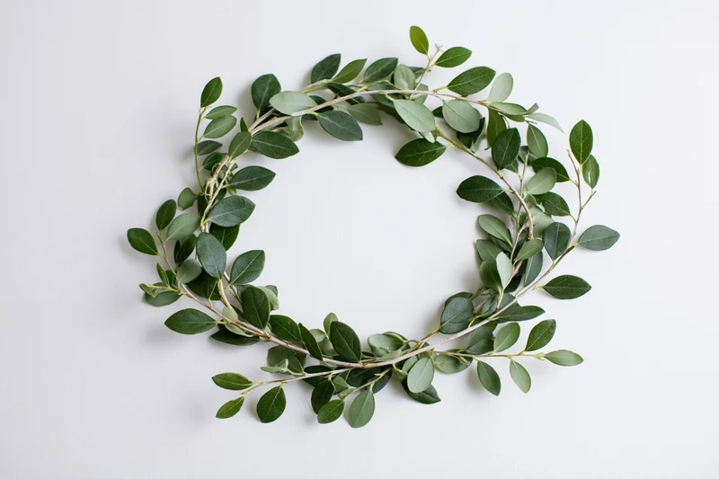 Circular wreath made of small green leaves arranged on white surface