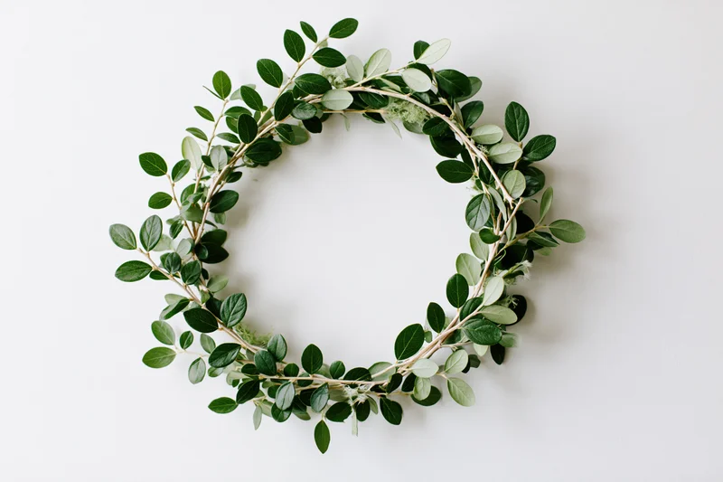 Circular wreath made of green leaves and twigs on white background