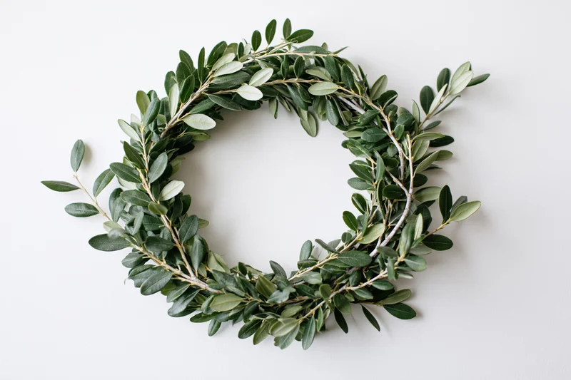 Circular wreath made of small green leaves and thin woody branches on white background