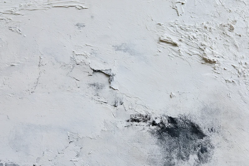 Close-up of abstract painted canvas with textured white and black paint layers showing brushstrokes and cracks
