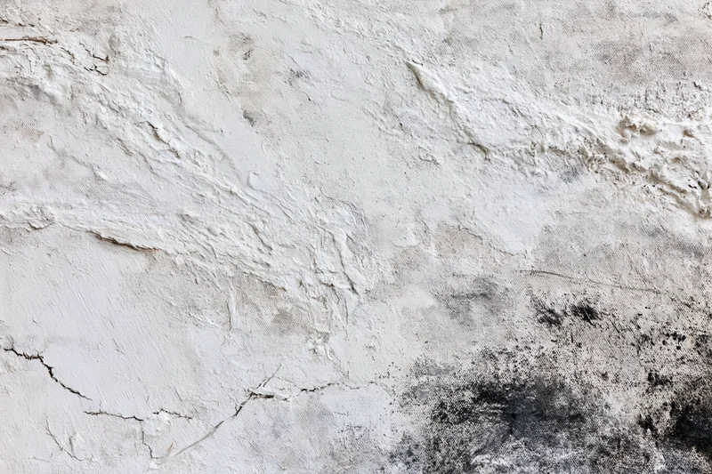 Close-up of abstract painted canvas with textured white and black paint strokes and cracks