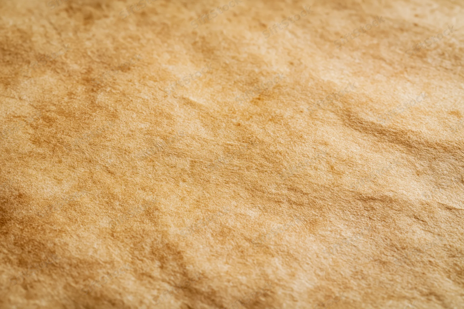 Close-up of aged parchment paper surface with natural texture and warm brown tones filling the frame