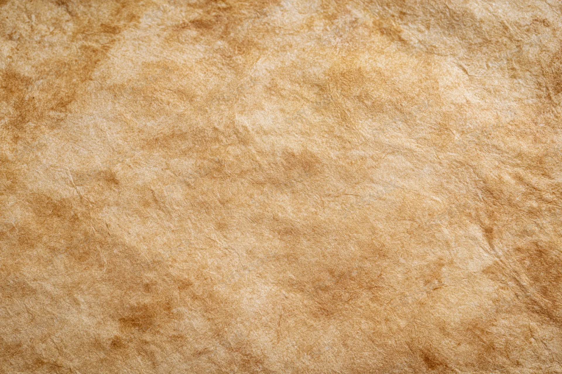 Close-up of aged parchment paper texture filling the frame