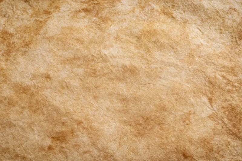 Close-up of aged parchment paper texture filling the frame