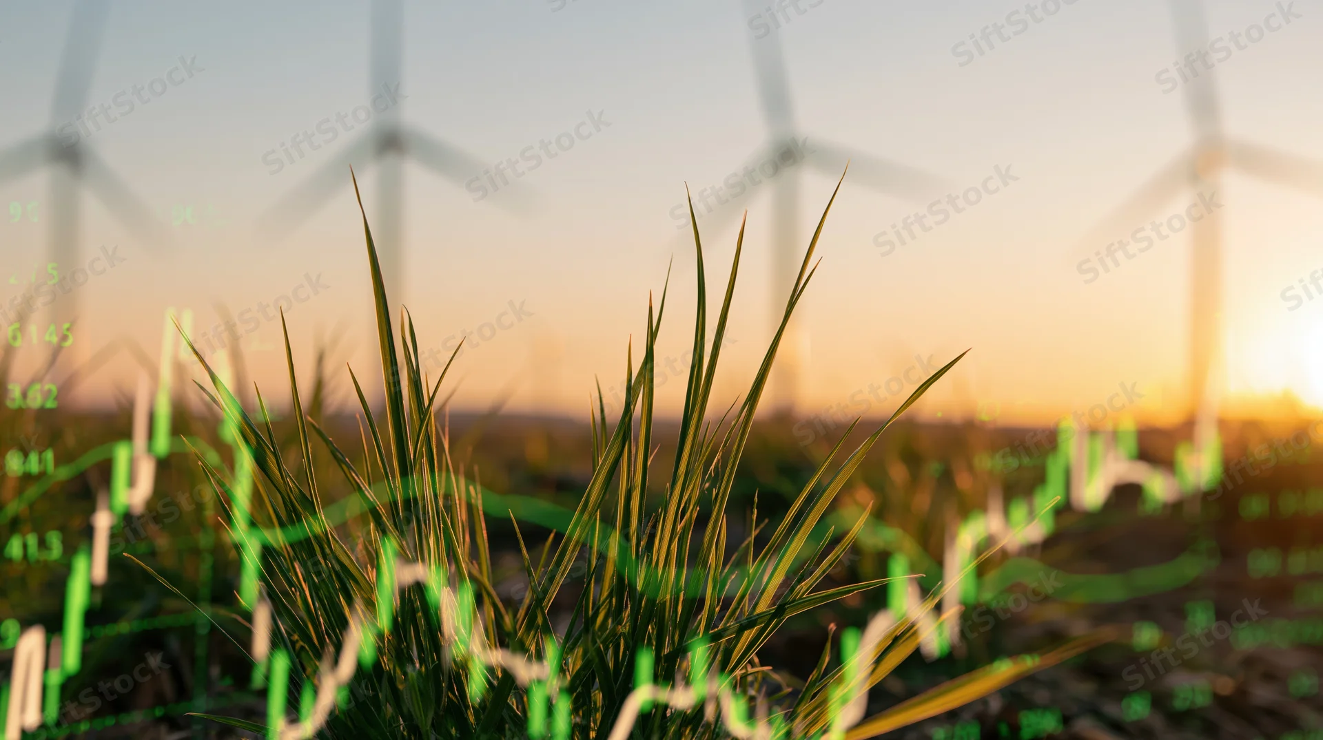 Green grass blades in a field with wind turbines at sunset, overlaid with digital financial data graphs