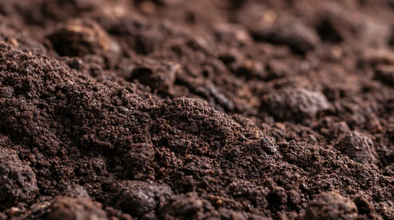 Close-up of dark tilled garden soil with rich organic texture