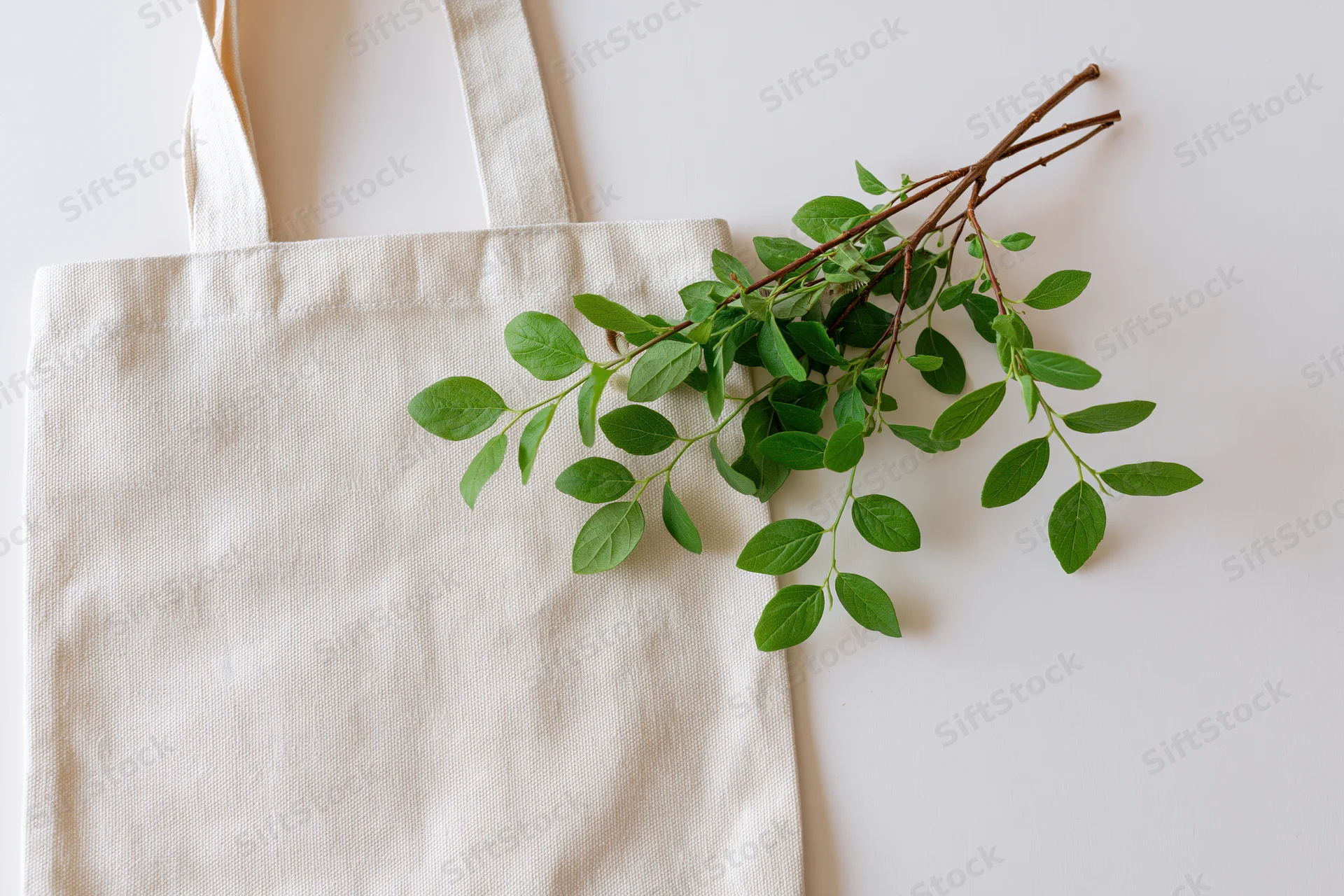 Cream canvas tote bag lying flat with green leafy branch on light off-white surface
