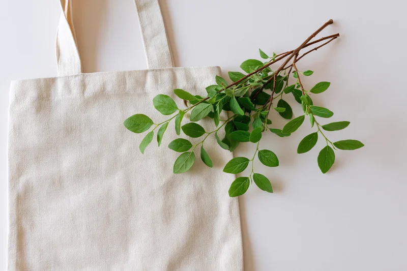 Cream canvas tote bag lying flat with green leafy branch on light off-white surface
