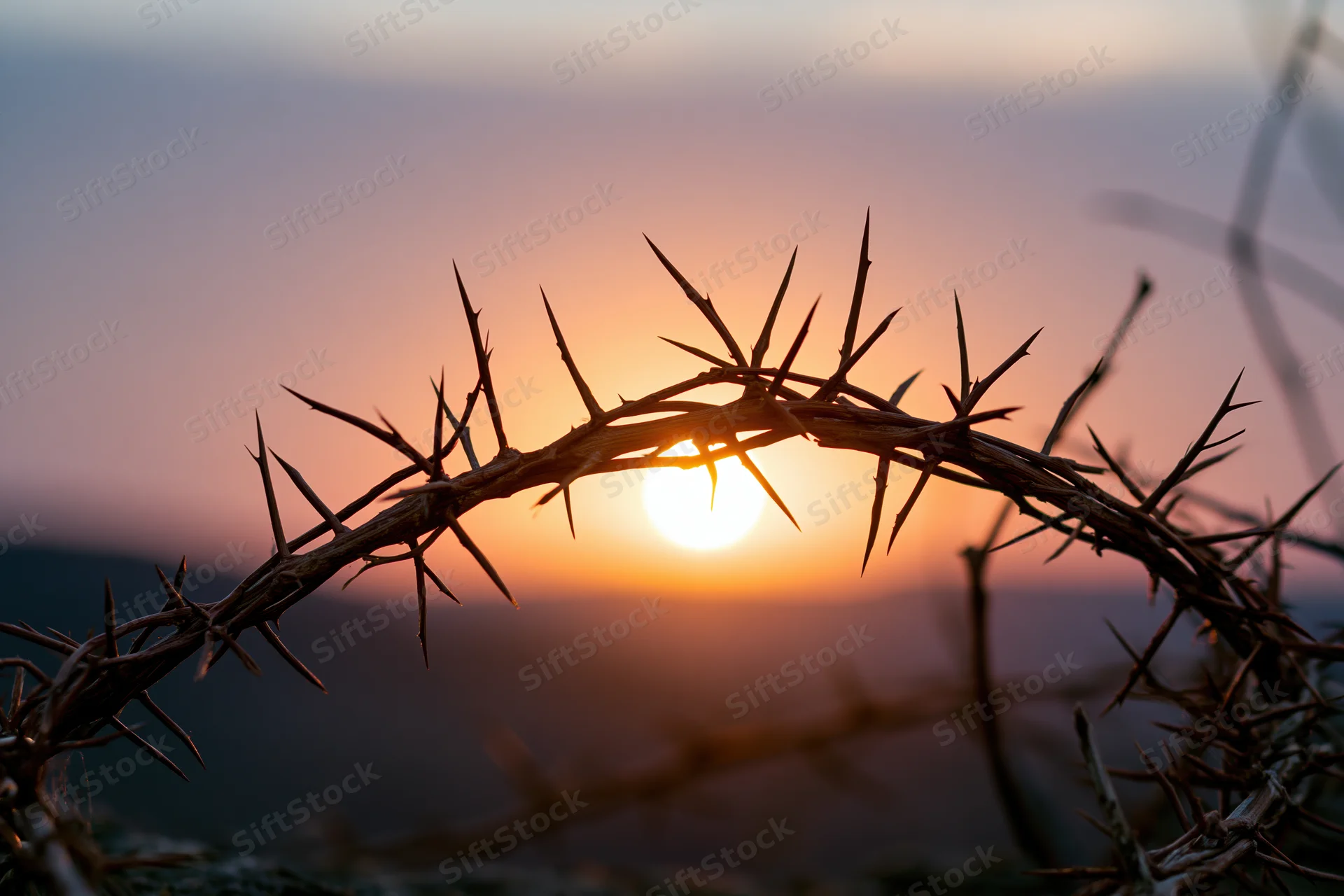 Crown of thorns silhouetted against a sunset sky with sun at horizon