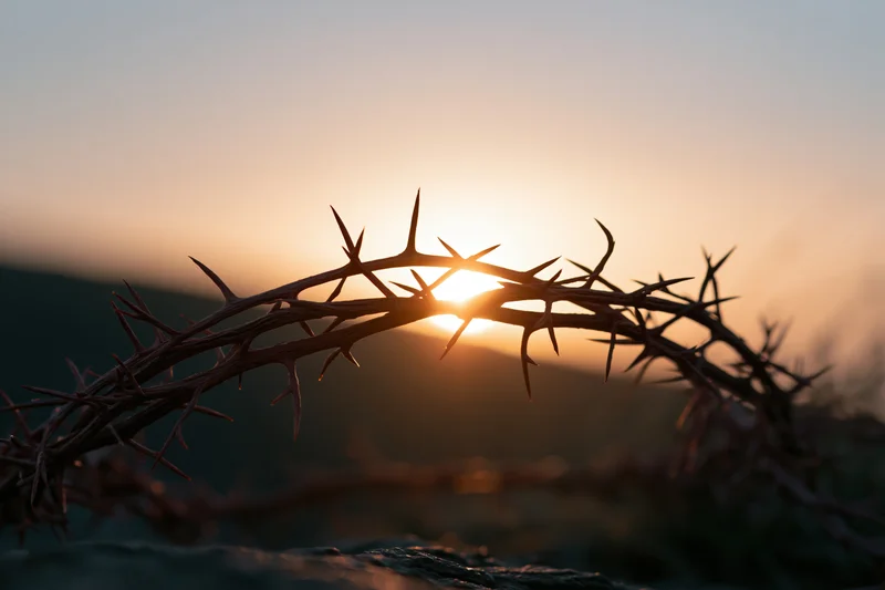 Crown of thorns silhouetted against a sunset sky resting on a rocky surface