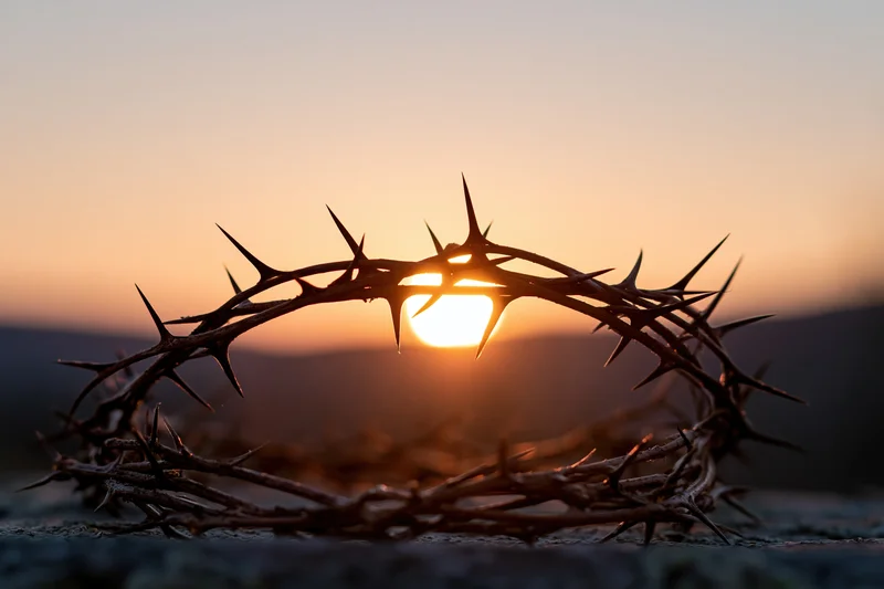 Crown of thorns silhouetted against a sunset sky resting on a stone surface