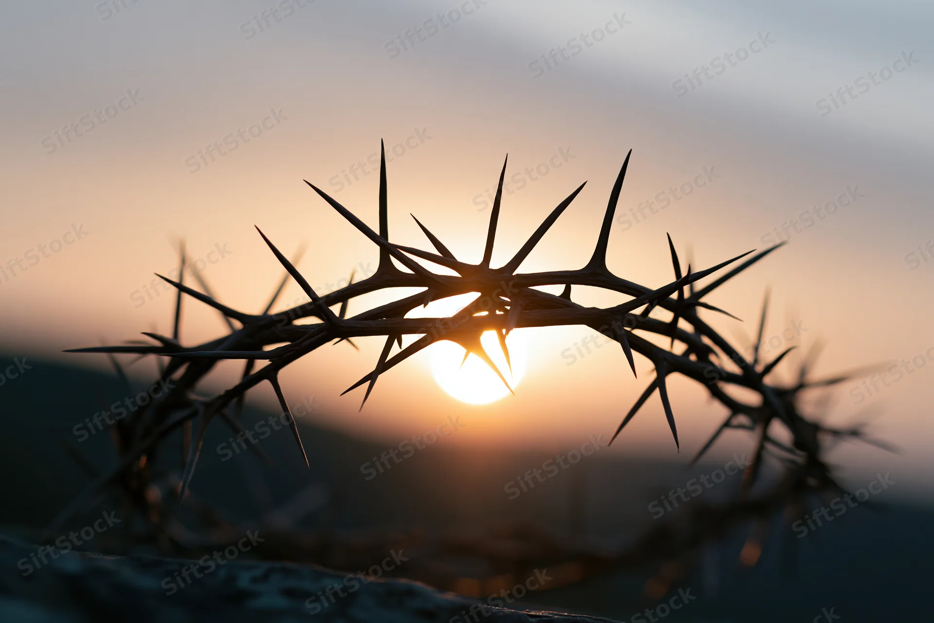 Crown of thorns silhouetted against a sunset sky resting on a surface
