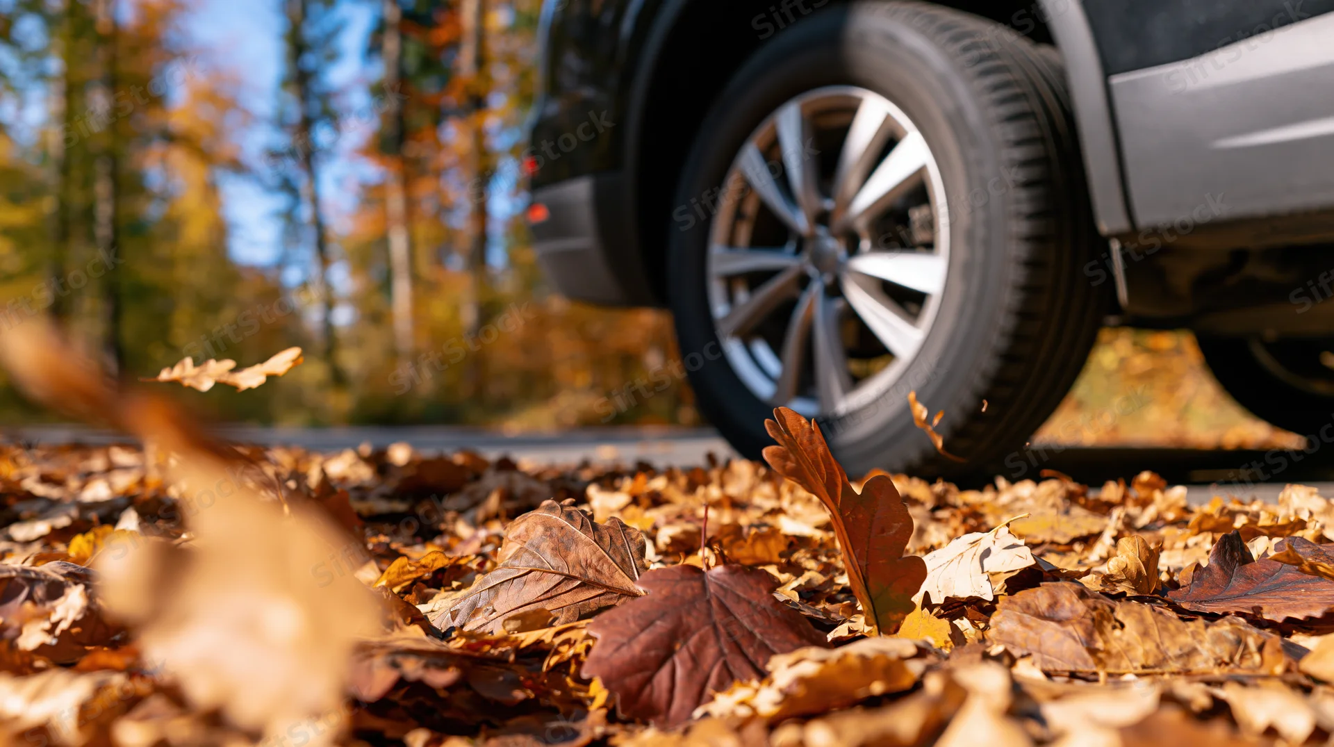 Dark suv driving on a road covered with fallen autumn leaves in a forest