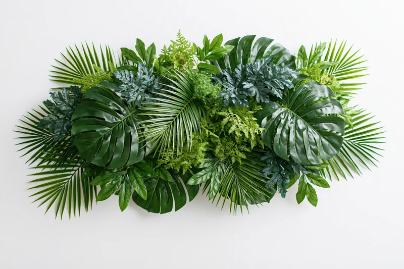 Dense tropical foliage arrangement floating against a plain white background