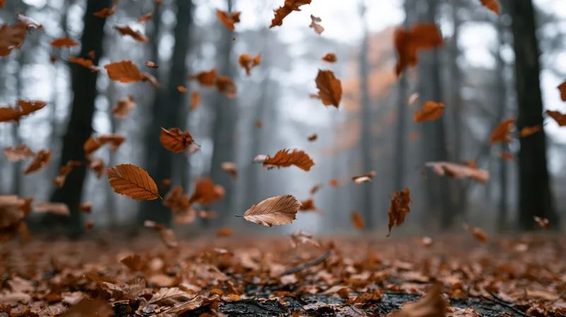 Dry autumn leaves swirling and falling mid-air in a forest with a carpet of fallen leaves on the ground