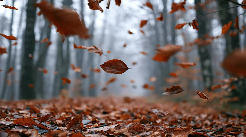 Dry autumn leaves swirling and falling mid-air in a forest with a carpet of fallen foliage on the ground