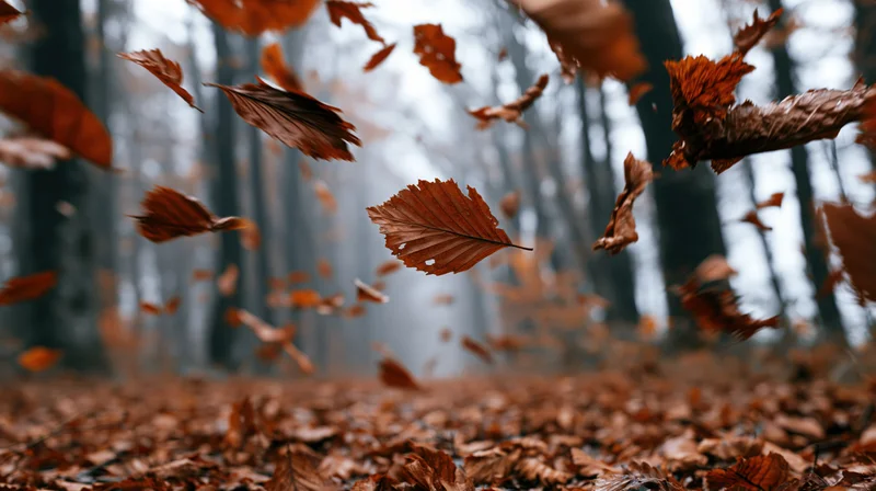 Dry autumn leaves swirling and falling mid-air in a forest with a carpet of fallen leaves on the ground