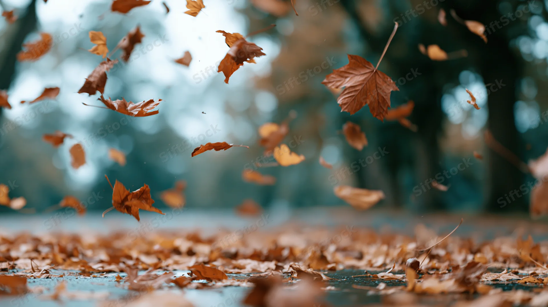 Dry autumn leaves swirling and falling mid-air over pavement in a park