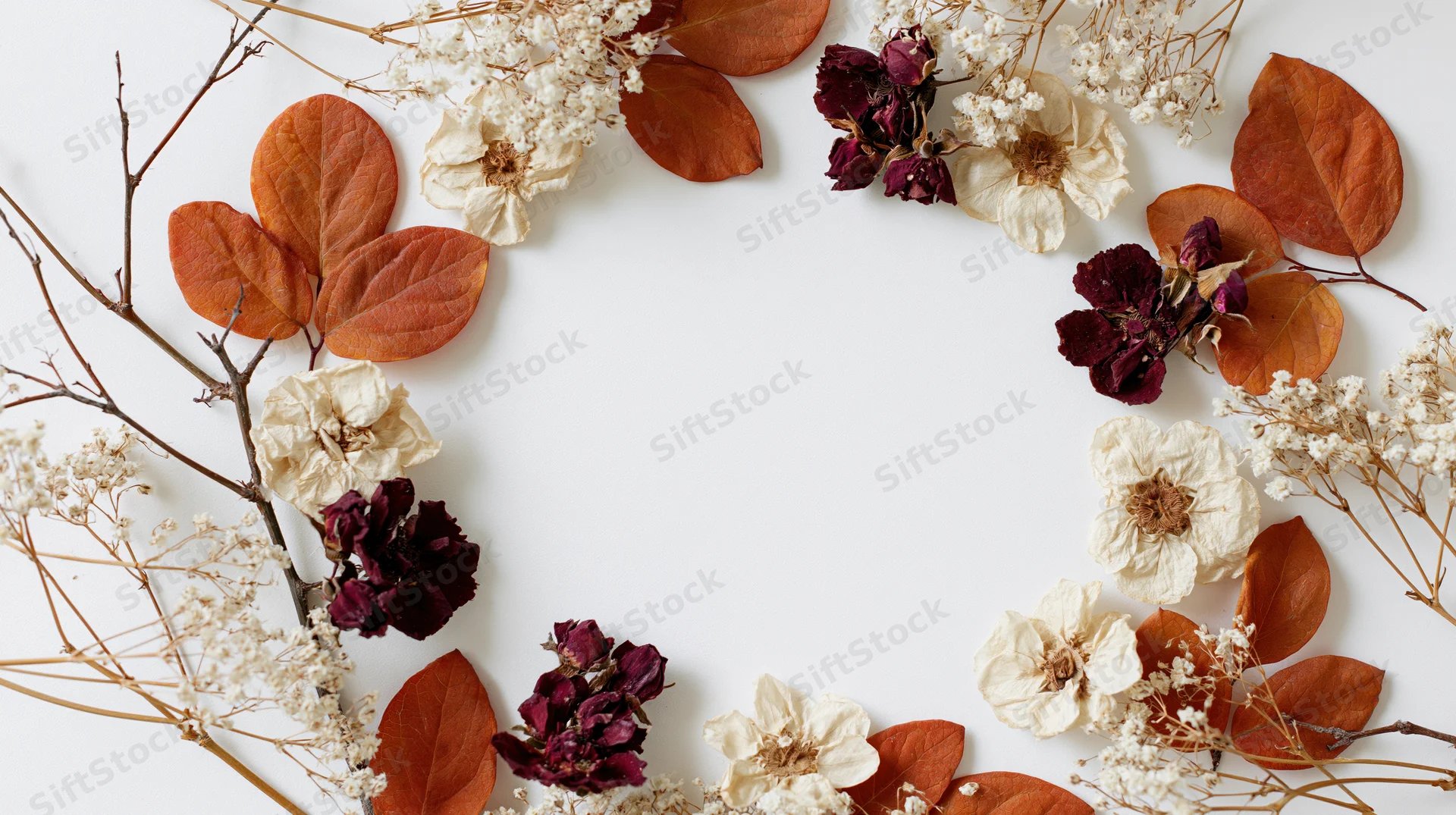 Dried autumn botanicals arranged in a loose wreath on white background with copyspace