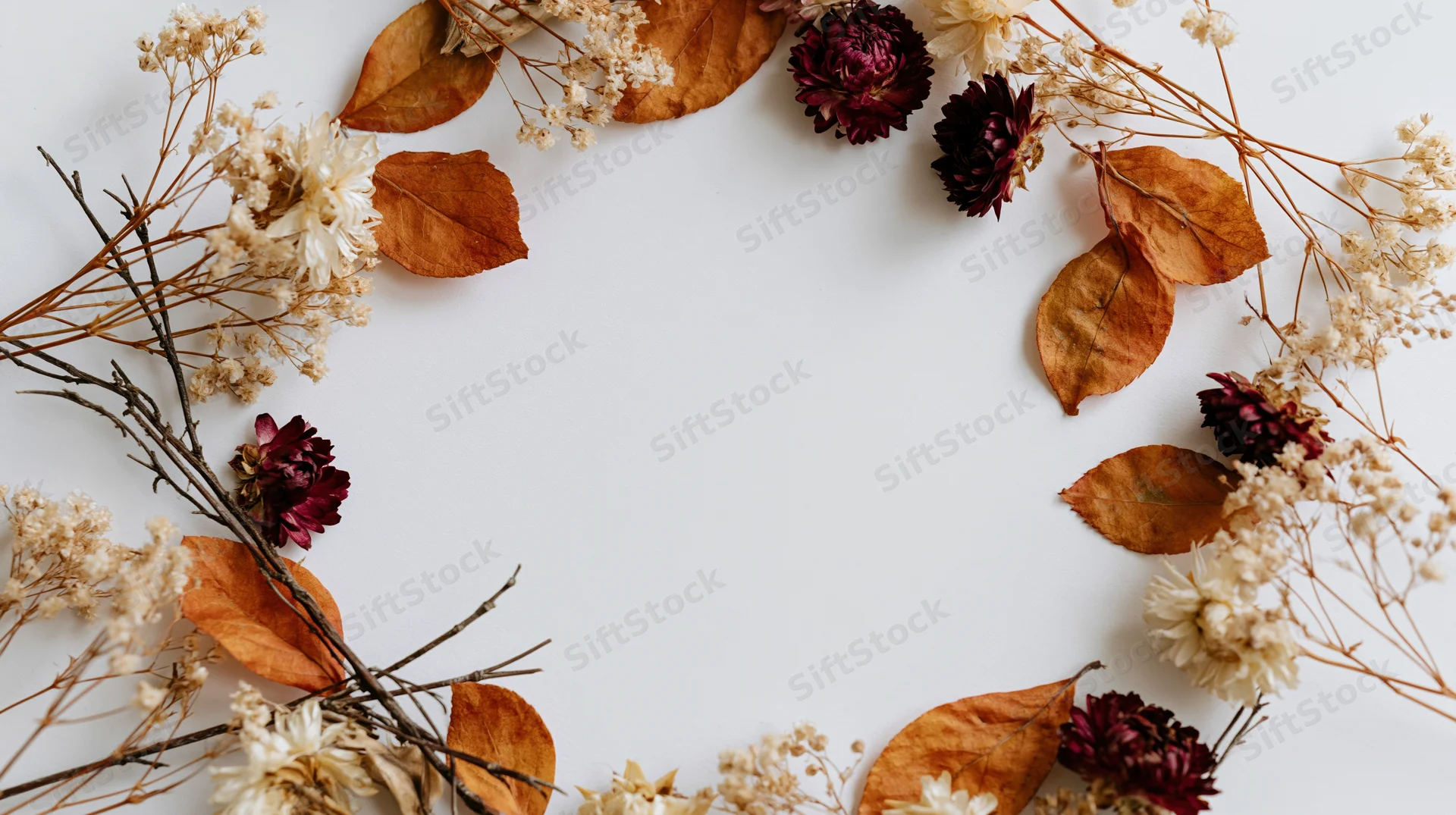 Dried autumn botanicals arranged in a loose wreath on white background with copyspace