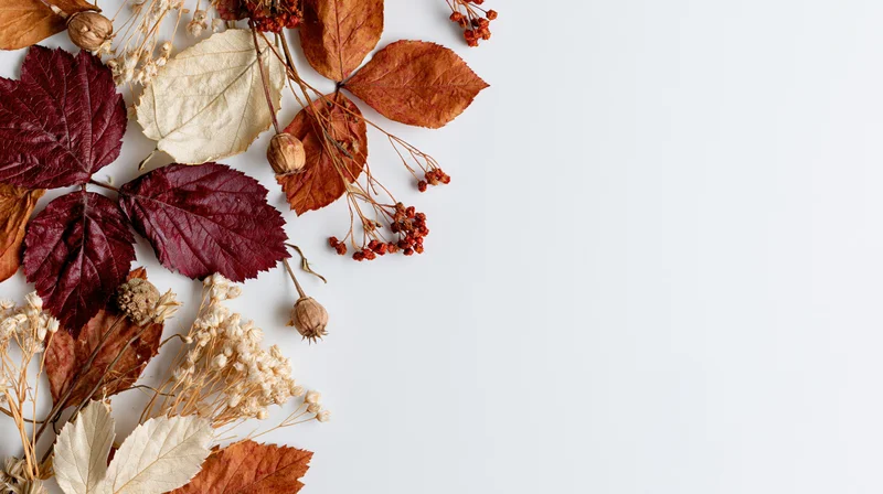 Dried autumn leaves and botanical stems arranged in a flat lay on white background with copyspace