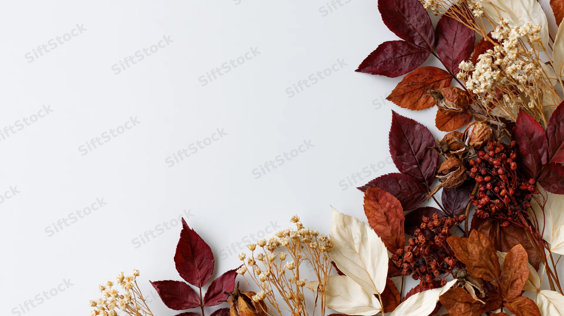 Dried autumn leaves and botanical stems arranged in a flat lay on white background with copyspace