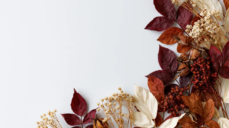 Dried autumn leaves and botanical stems arranged in a flat lay on white background with copyspace