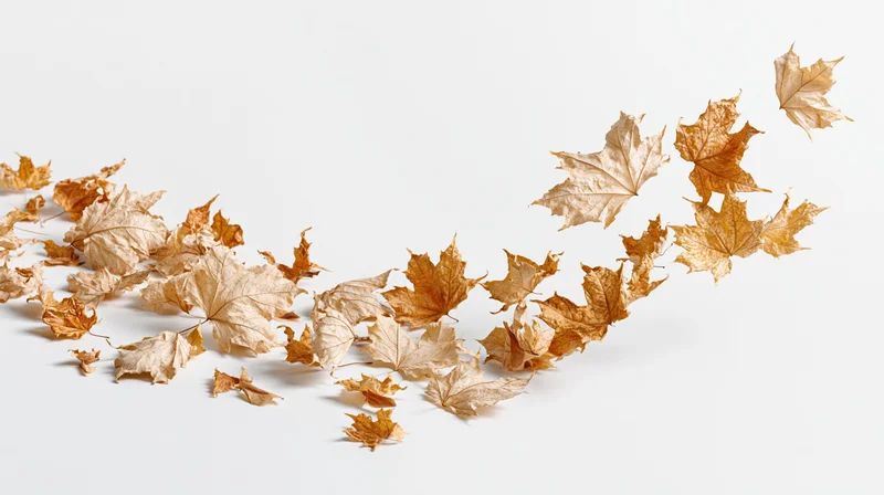 Dried maple leaves swirling and falling across a white surface