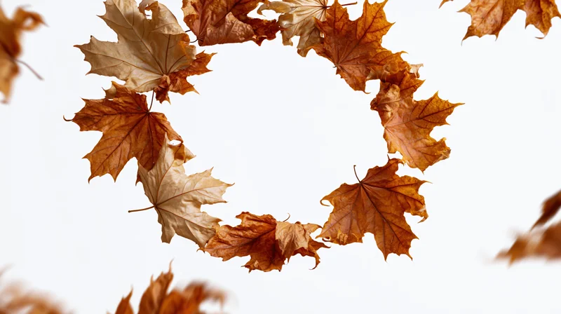 Dry maple leaves arranged in a circular wreath against white background