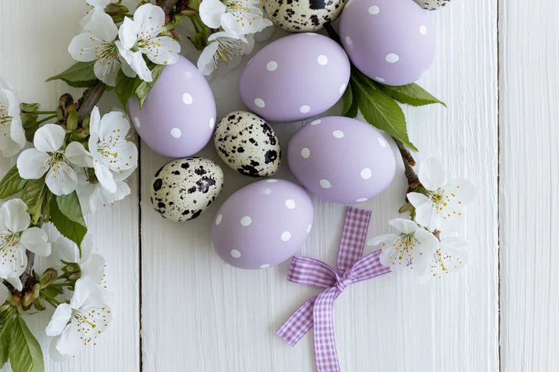 Lavender polka-dotted easter eggs and white blossoms arranged on a white wooden surface with a checkered ribbon