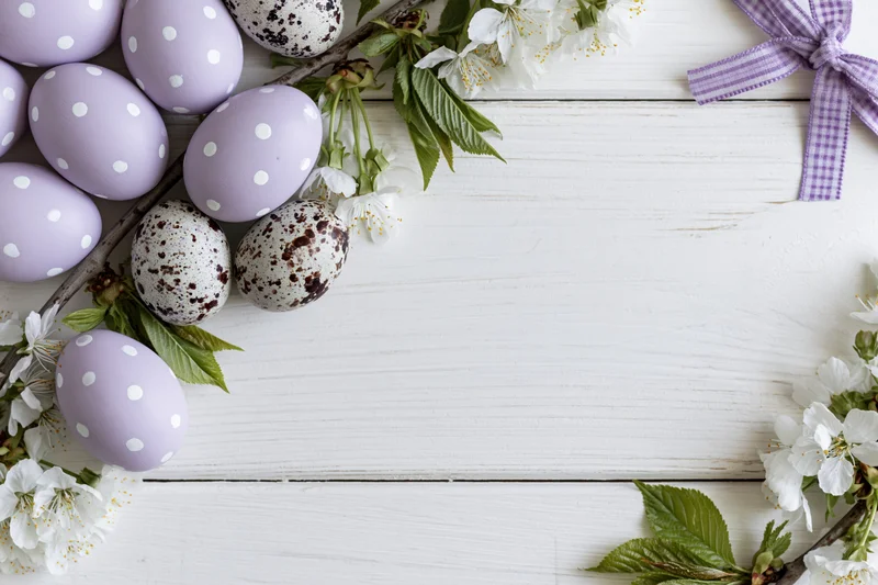 Easter eggs with polka dots and speckled patterns arranged with white blossoms and green leaves on a white wooden surface forming a border with copyspace