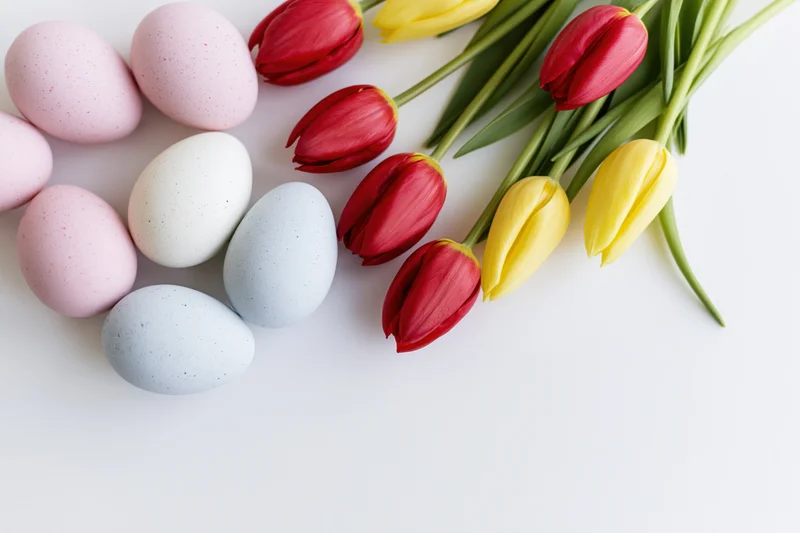 Pastel easter eggs and red yellow tulips arranged on white surface