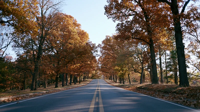 Empty two-lane asphalt road lined with autumn trees stretching into the distance