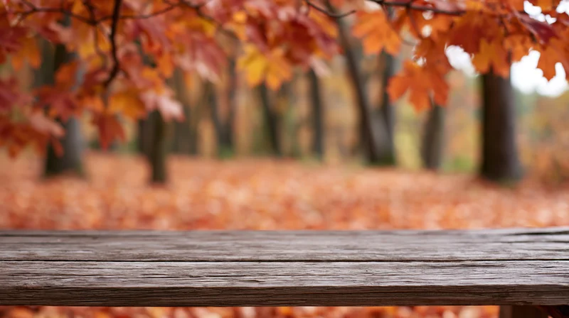Weathered wooden plank surface in foreground framing autumn forest with fallen leaves and maple branches in soft focus background