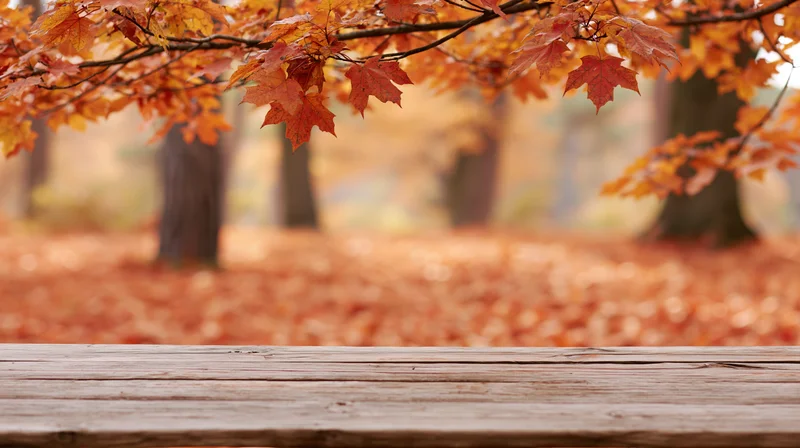 Weathered wooden plank surface in foreground framing autumn maple trees with fallen leaves in forest background
