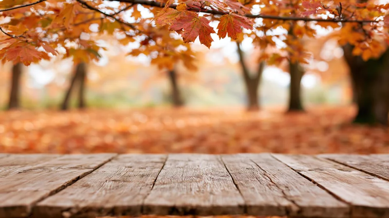 Weathered wooden plank surface in foreground framing autumn foliage in a park