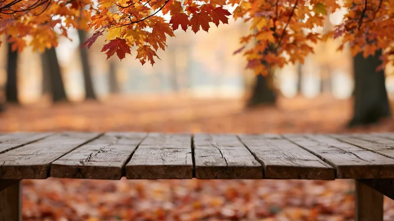 Weathered wooden bench surface in foreground framing autumn forest with colorful maple leaves above and fallen foliage below