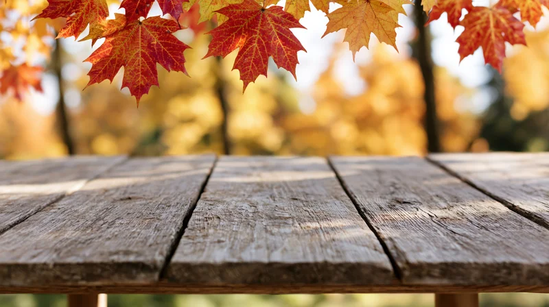 Weathered wooden table surface in a forest with autumn maple leaves overhead
