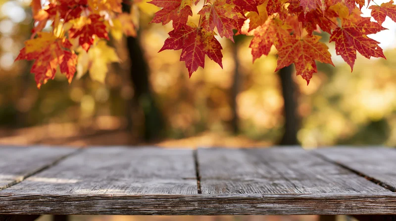Weathered wooden table surface in a park with autumn maple leaves hanging above