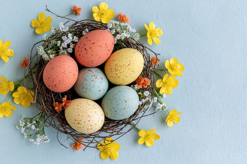 Five painted easter eggs in a twig nest surrounded by yellow and white flowers on a light blue surface